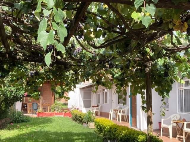 Hotel Samailandia Backpack Samaipata Esterno foto